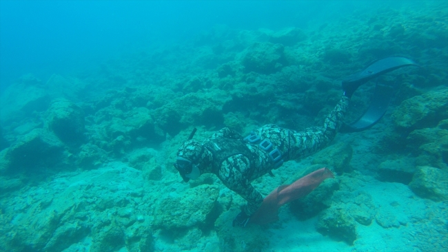 Bodrum'da "Cevat Şakir'in İzinden Gökova'ya" deniz dibi temizliği